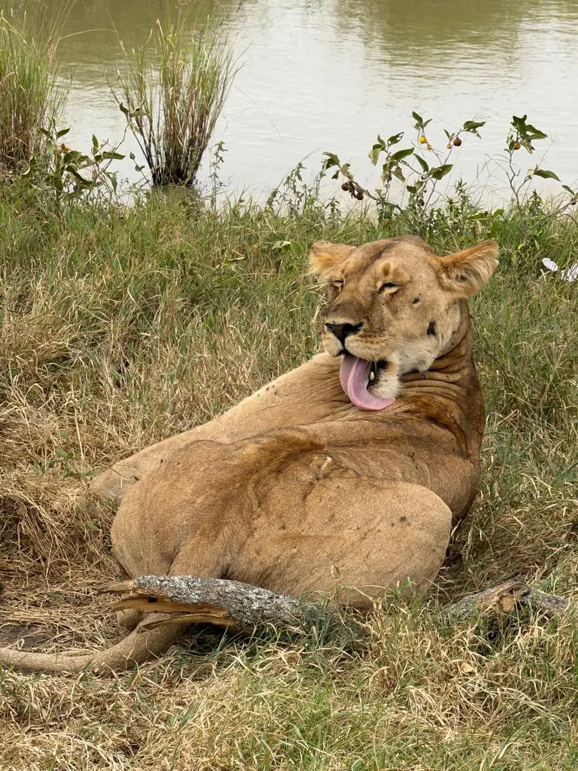 Lake Manyara National park