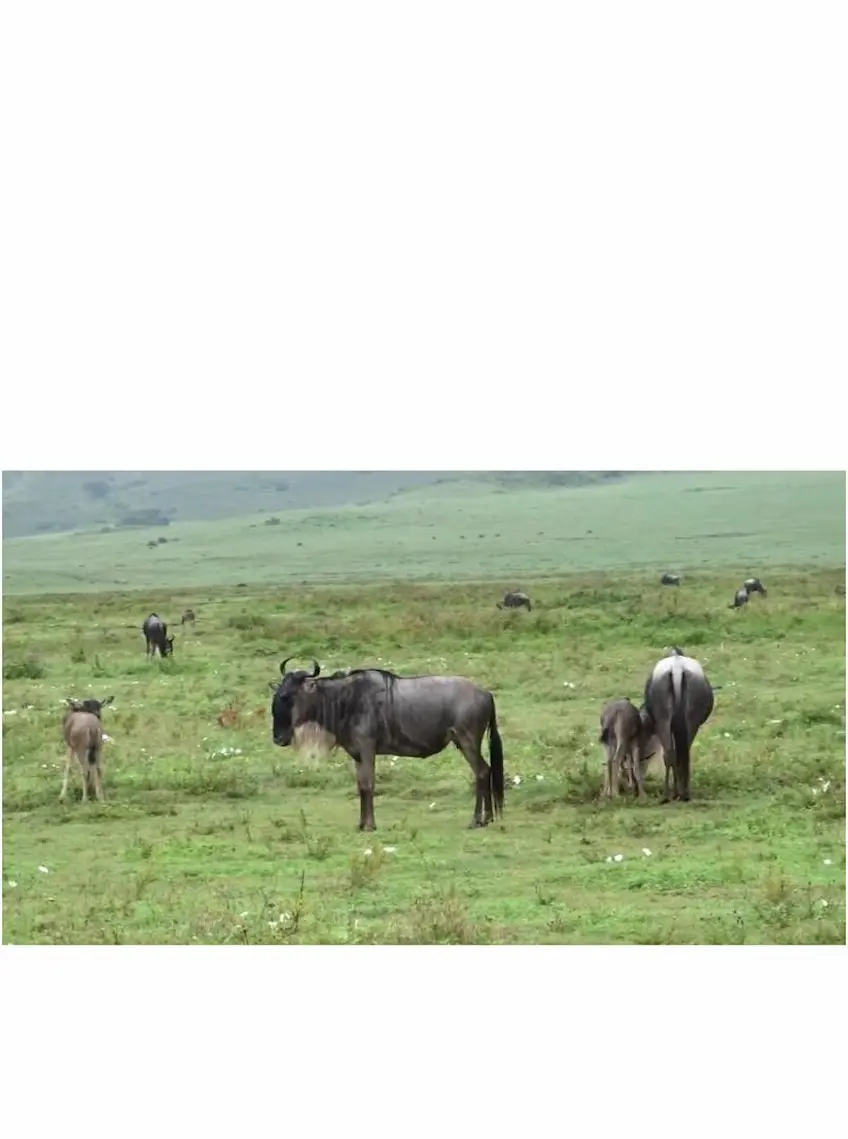 Serengeti National Park