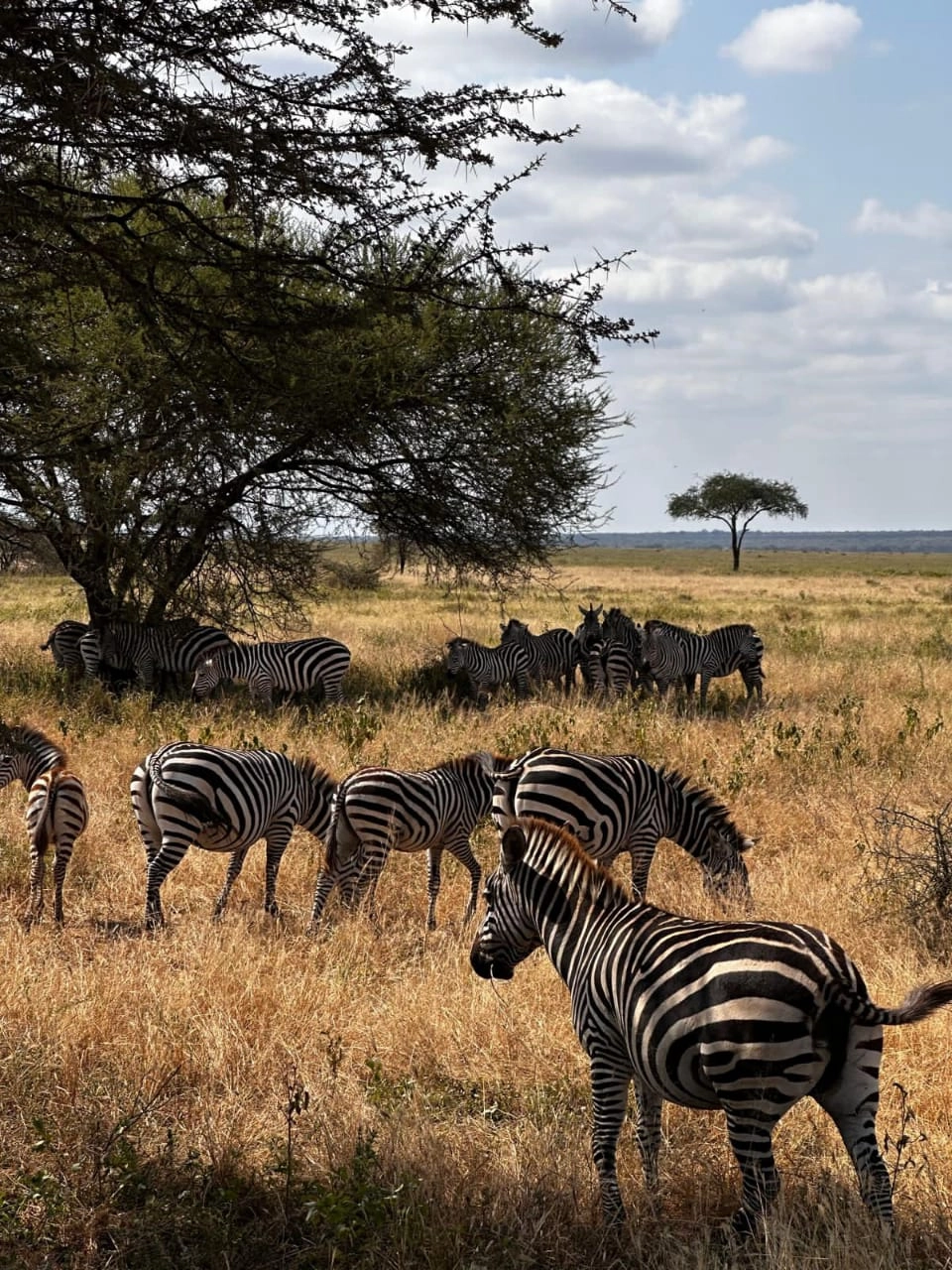 Kitulo National park